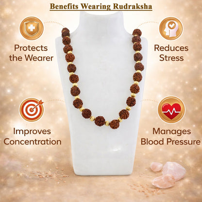 Rudraksha Chain