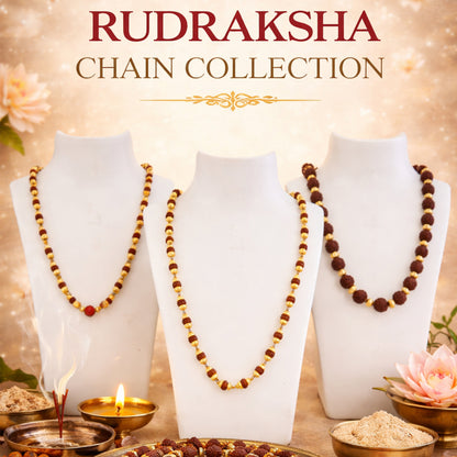 Rudraksha Chain